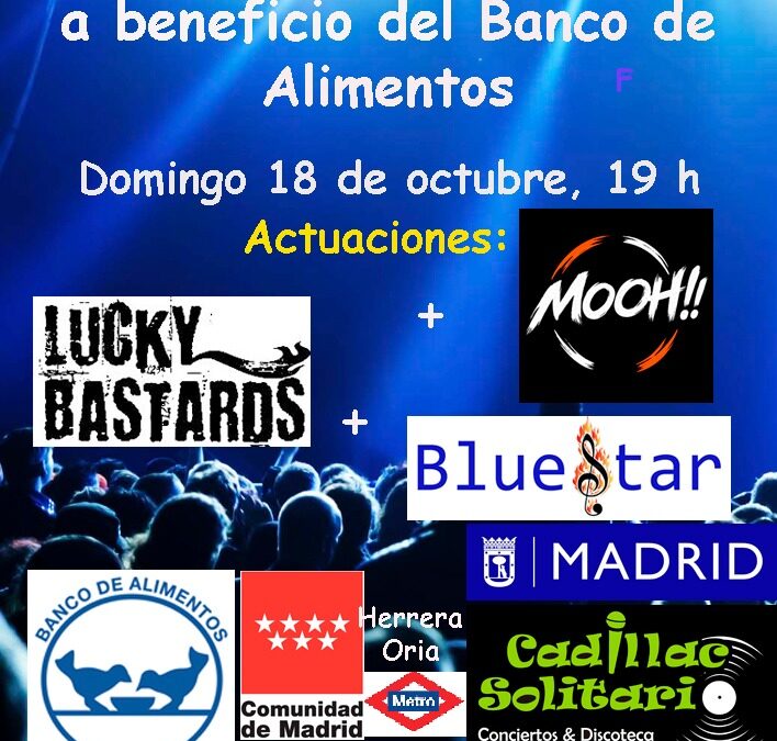 XIV concierto «Javi Martín» a beneficio del banco de alimentos